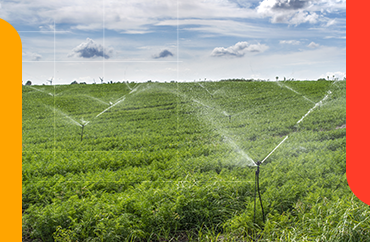 A importância da irrigação em pastagens  - Mac Loren